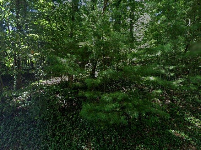 House image located at Arden, NC 28704