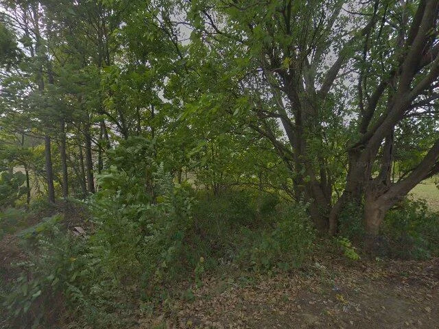 House image located at Gary, IN 46407