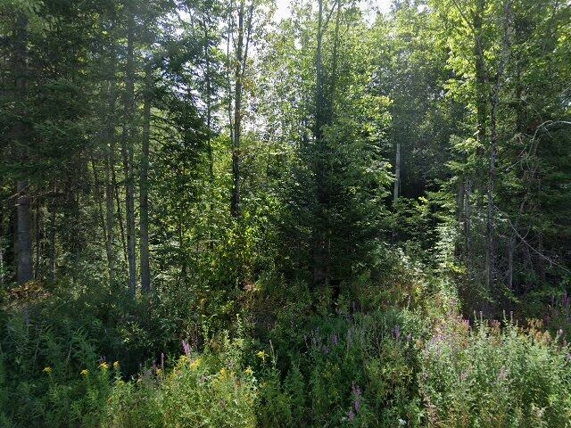 House image located at Littleton, NH 03561