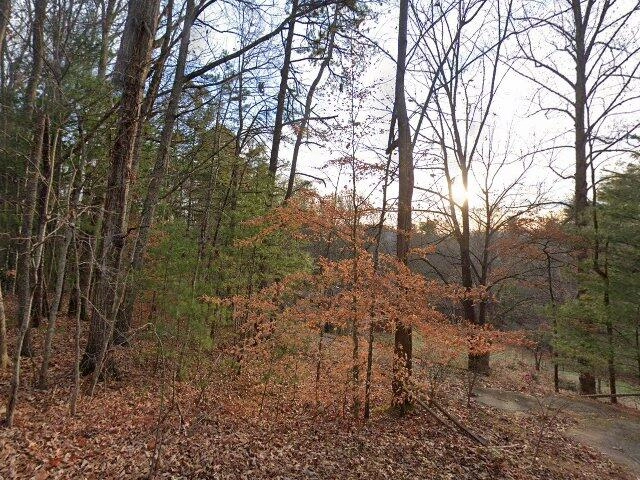 House image located at Mars Hill, NC 28754