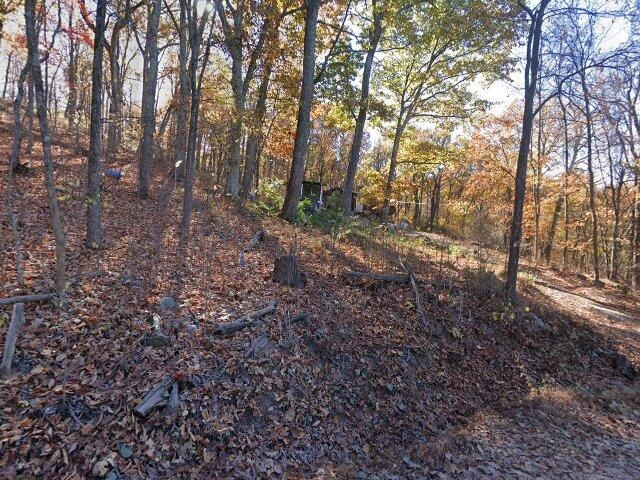 House image located at Linden, VA 22642