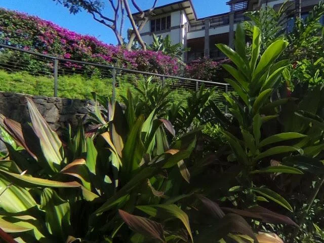 House image located at Kihei, HI 96753