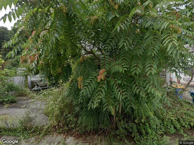 House image located at Kingston, NY 12401