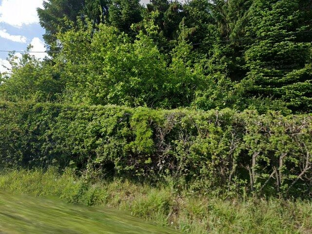 House image located at Trabuco Canyon, CA 92679