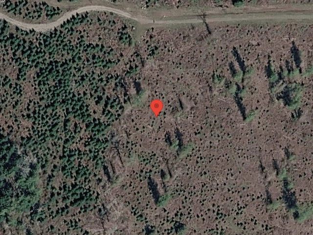 House image located at Roy, WA 98580