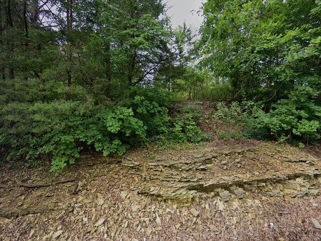 House image located at Hillsboro, MO 63050