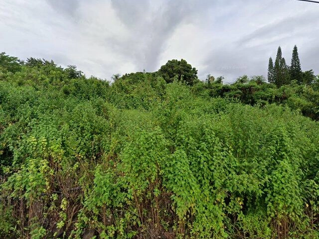 House image located at Kailua Kona, HI 96740