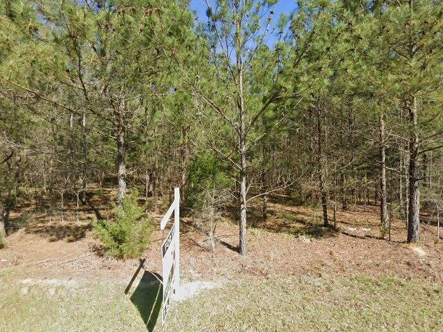 House image located at Chapin, SC 29036