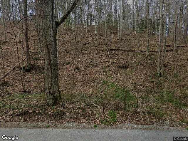 House image located at Roan Mountain, TN 37687