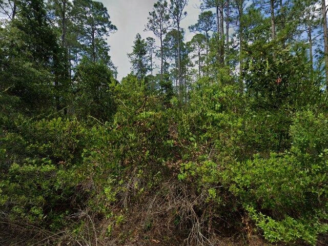 House image located at Palatka, FL 32177