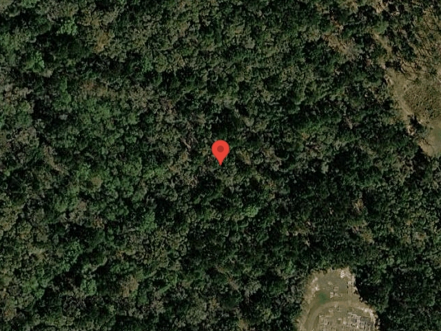 House image located at Dozier, AL 36028