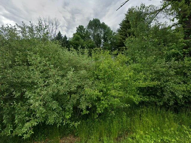 House image located at Fallsburg, NY 12733