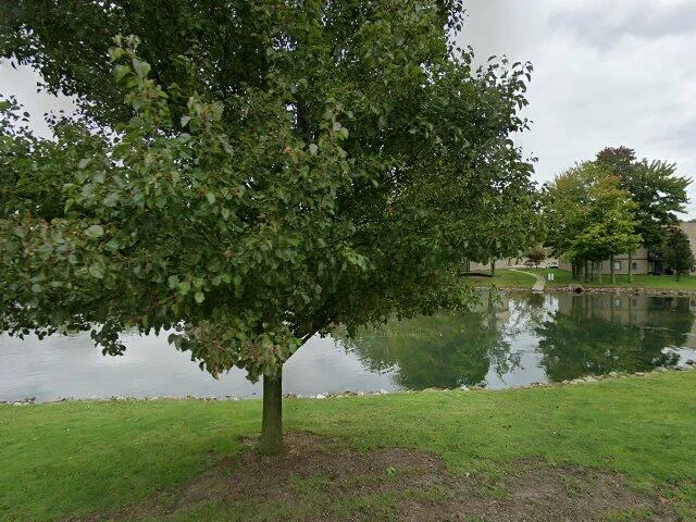 House image located at North Royalton, OH 44133