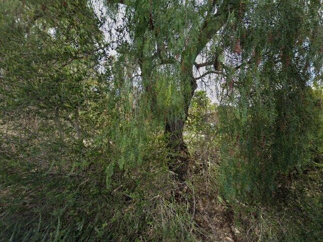 House image located at Rancho Santa Fe, CA 92067