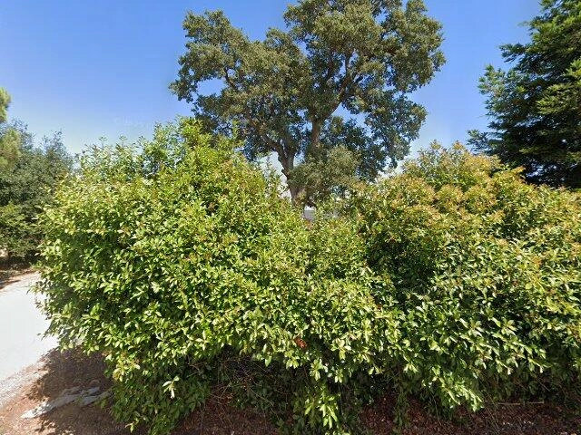 House image located at Cottonwood, CA 96022