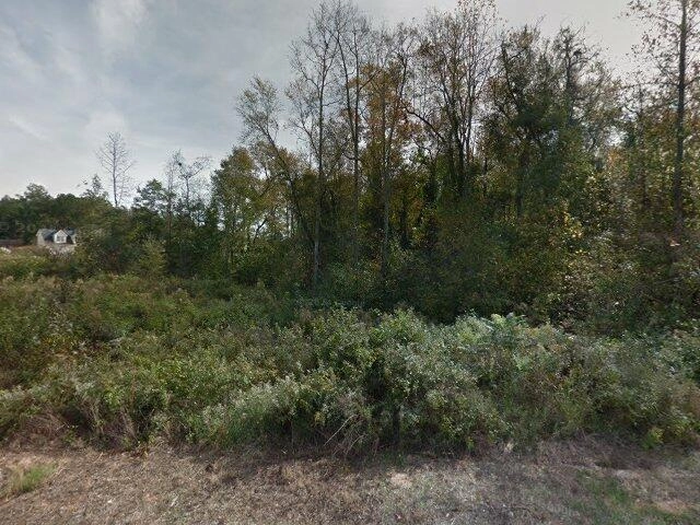 House image located at Hampton, GA 30228