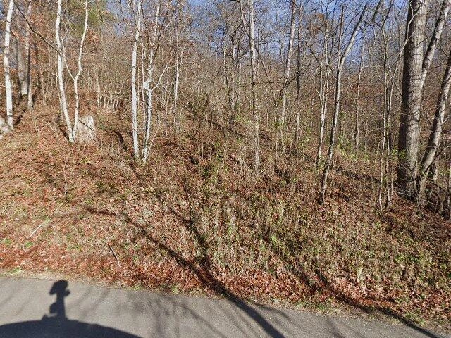 House image located at McDowell, KY 41647