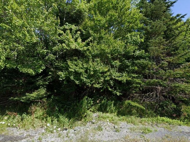 House image located at Albany, NY 12211