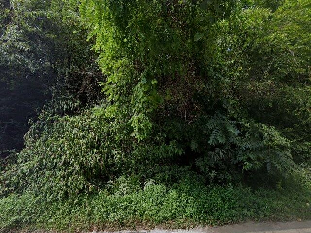 House image located at Barnardsville, NC 28709