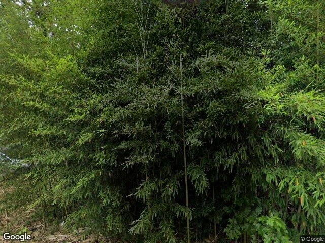 House image located at Pearl, MS 39208