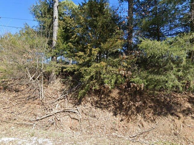 House image located at Springdale, AR 72764