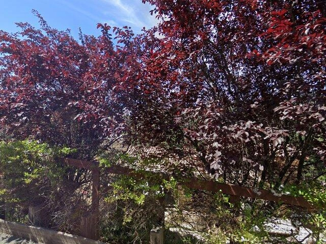 House image located at Berkeley, CA 94705