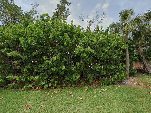 House image located at Placida, FL 33946