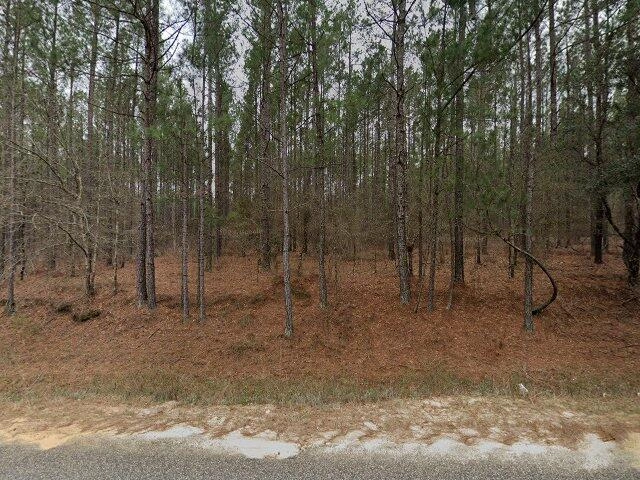 House image located at Dudley, GA 31022