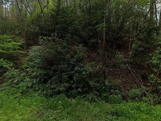 House image located at Murphy, NC 28906
