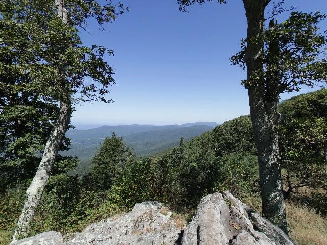 House image located at Johnson City, TN 37604