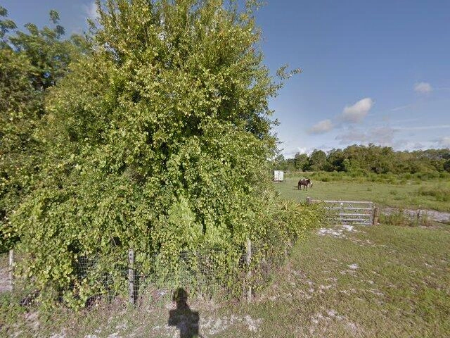 House image located at Osteen, FL 32764