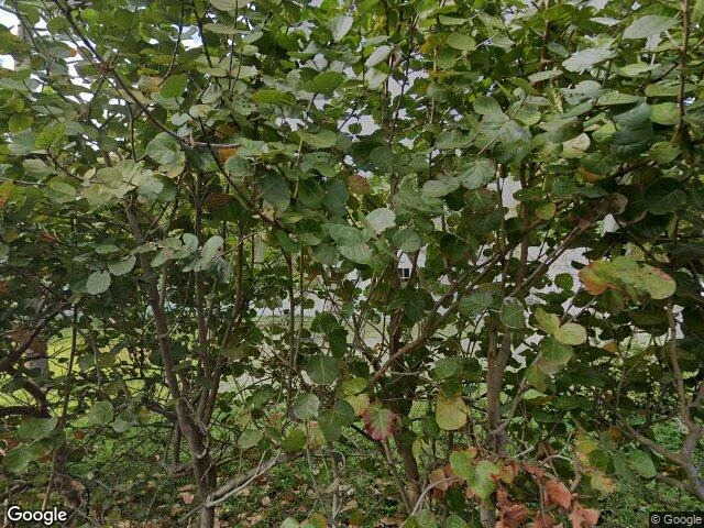 House image located at West Palm Beach, FL 33415