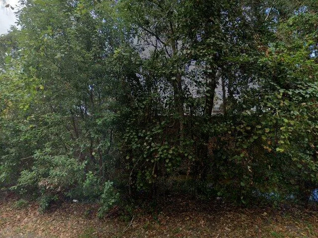 House image located at Kissimmee, FL 34746