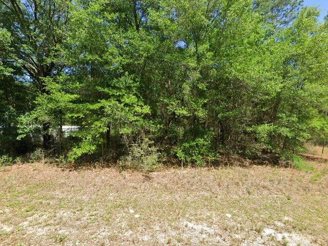 House image located at Dunnellon, FL 34431