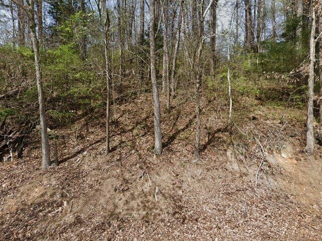 House image located at Attalla, AL 35954