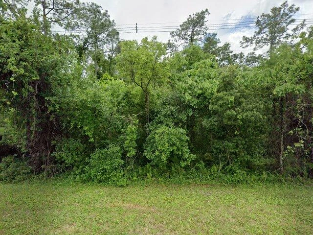 House image located at Orlando, FL 32832