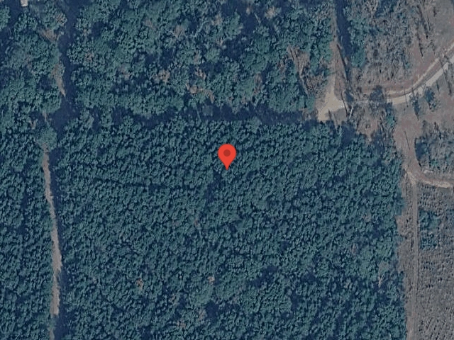 House image located at Downsville, LA 71234