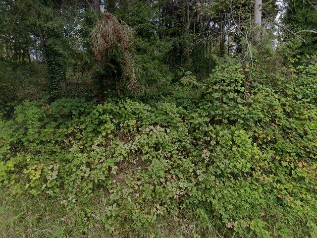 House image located at Sedro Woolley, WA 98284