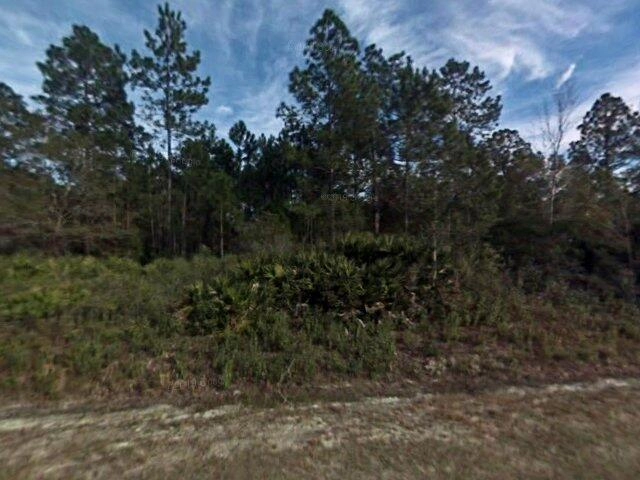 House image located at Hastings, FL 32145