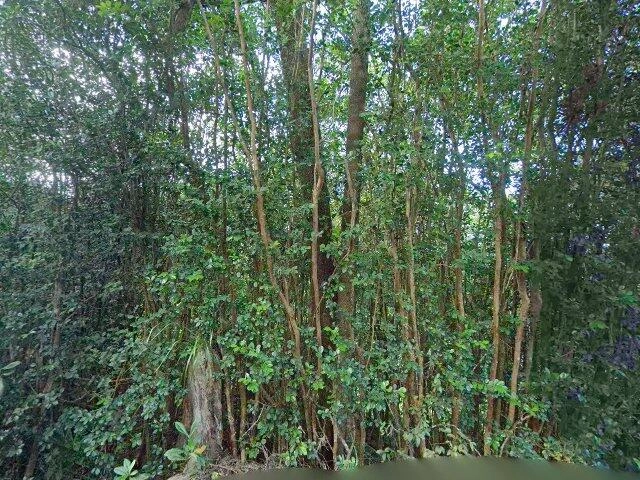 House image located at Paauilo, HI 96776