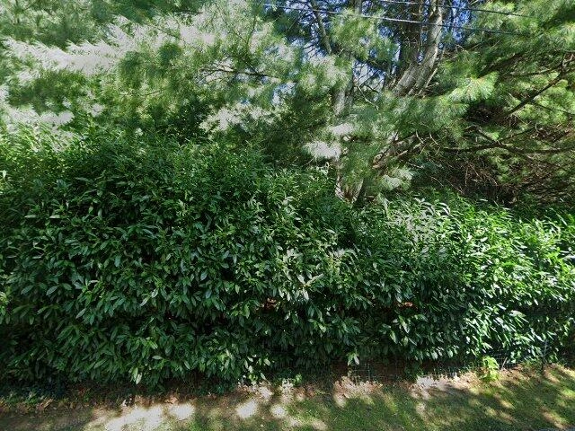 House image located at Coram, NY 11727