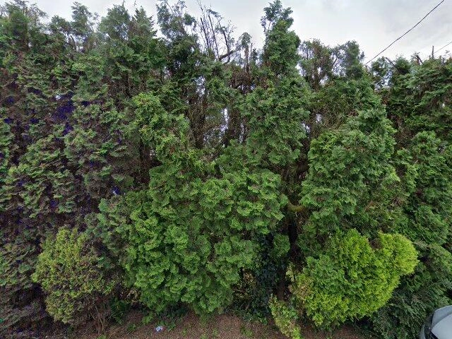 House image located at Seattle, WA 98125