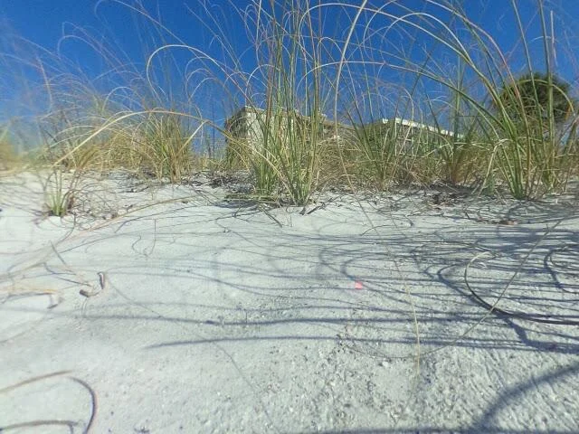 House image located at Saint Petersburg, FL 33706