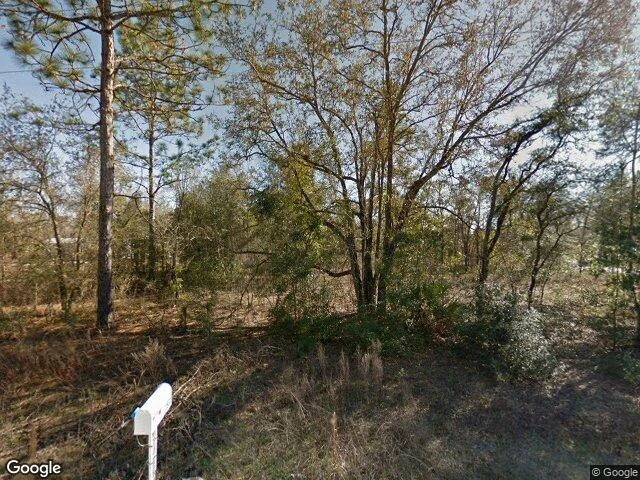 House image located at Morriston, FL 32668