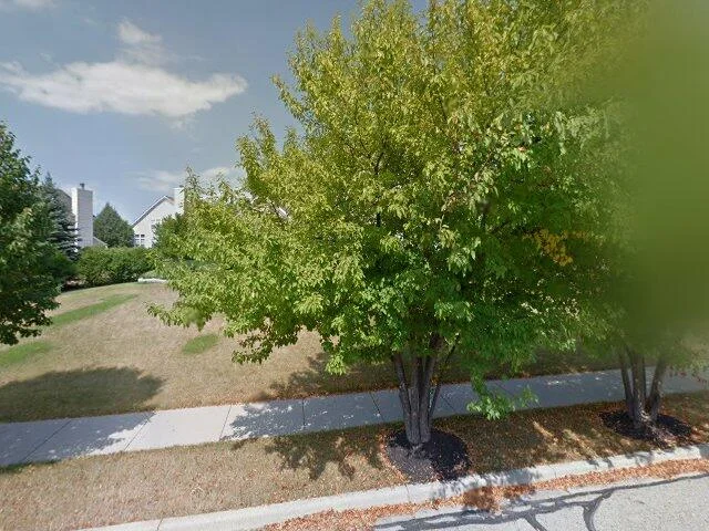 House image located at Dundee, IL 60118