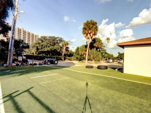 House image located at Tampa, FL 33629