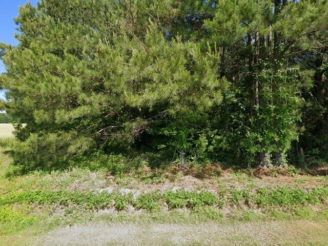 House image located at Lynchburg, SC 29080