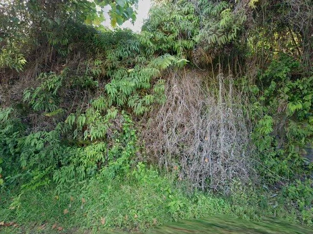 House image located at Hilo, HI 96720