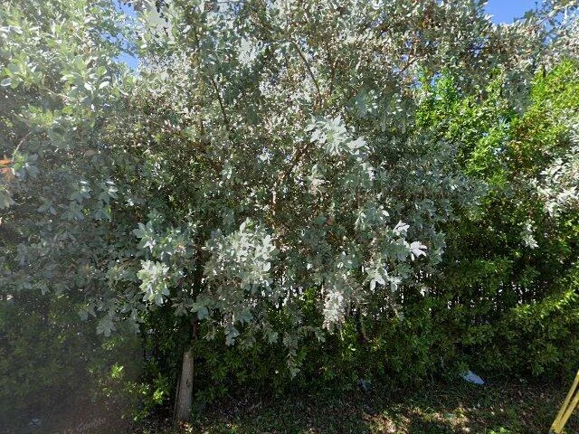 House image located at Dania, FL 33004