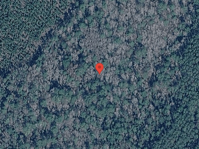 House image located at Deland, FL 32720